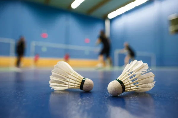 depositphotos_19598399-stock-photo-badminton-badminton-courts-with-players.webp